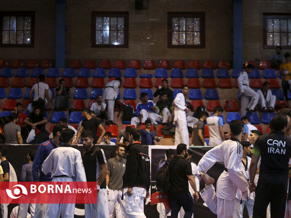 لیگ برتر تکواندو