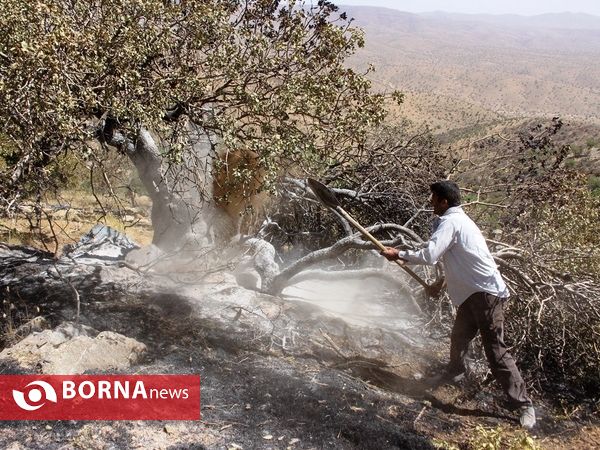 مهار آتش در ارتفاعات پاسارگاد