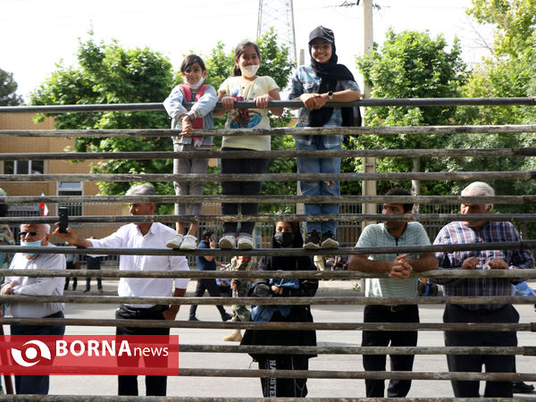 گرامیداشت روز ارتش در شیراز