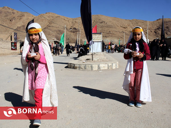 بزرگترین گردهمایی عزاداران رضوی فارس در شهرستان بوانات