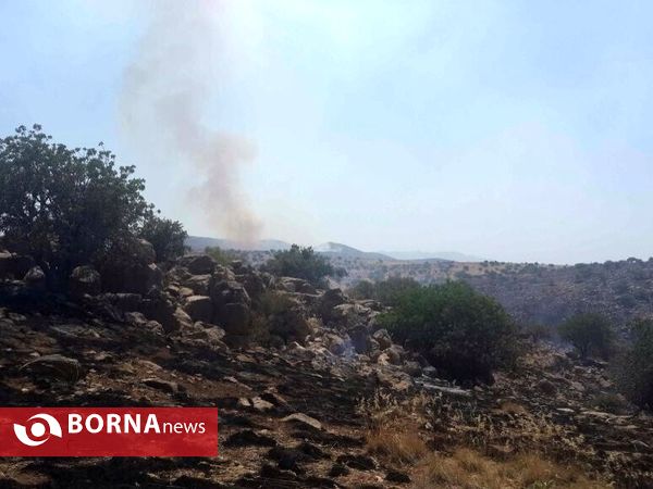 آتش سوزی در جنگل های پاسارگاد