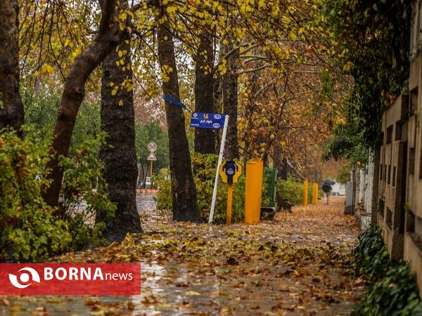 شيراز زیبای بارانی