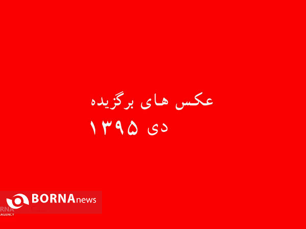 عکس های برگزیده دی ماه ۹۵