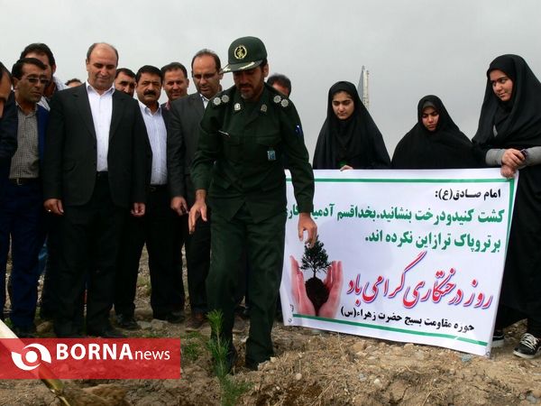 آغازفعالیتهای درختکاری در رومشکان درآستانه هفته منابع طبیعی