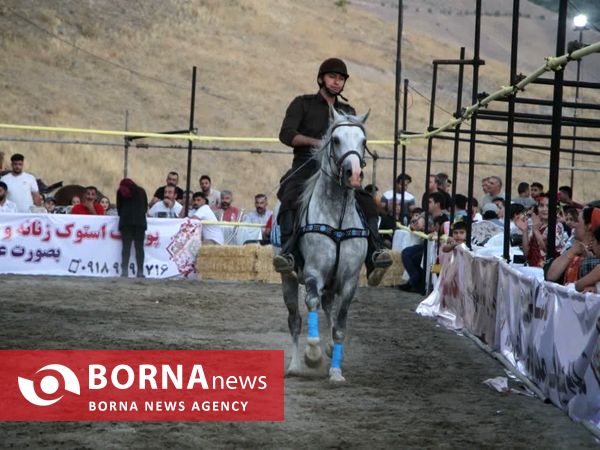 اولین جشنواره شو اسب سواری جام شیهه