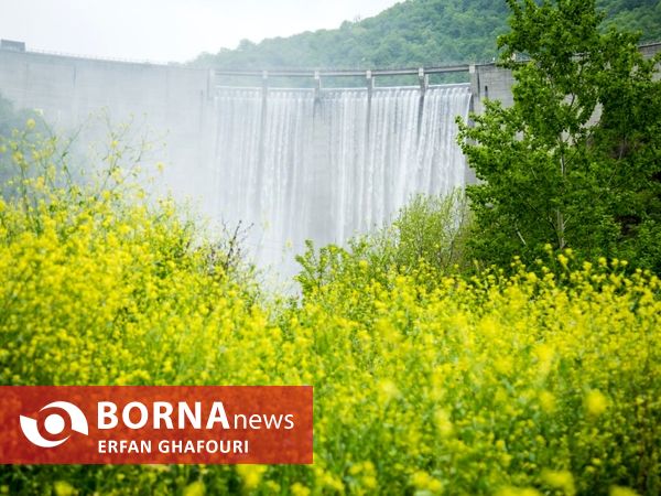 طبیعت زیبای شهرستان ساری