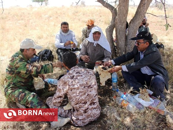 مهار آتش در ارتفاعات پاسارگاد