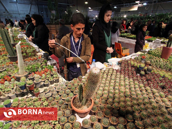 نمایشگاه گل و گیاه-شیراز