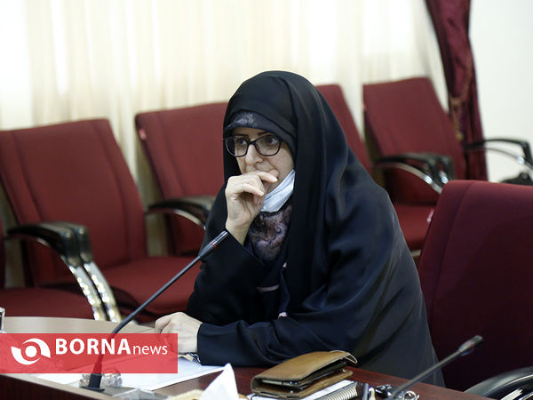 نشست وزیر ورزش و جوانان با جمعی از نمایندگان مجلس