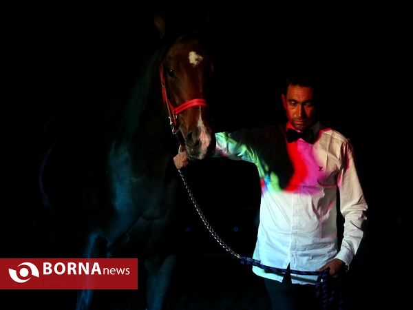 اولین حراج اسب های ۱۷ ماه تهران