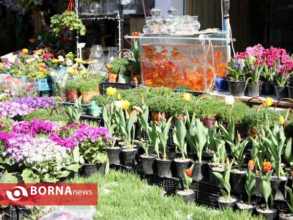 بازار لاهیجان در اخرین روز سال 96