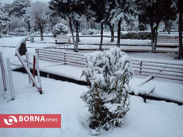 بارش نخستین برف پاییزی در تهران