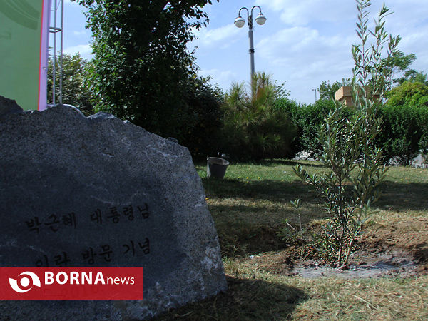 مراسم کاشت نهال صلح و دوستی بین ایران و کره جنوبی