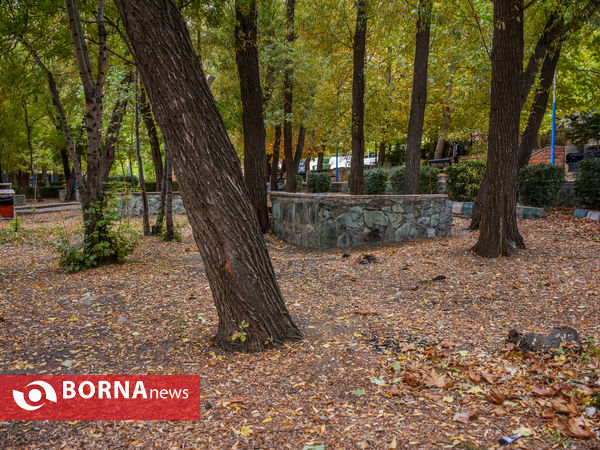 پاییز سراب عباس آباد شازند