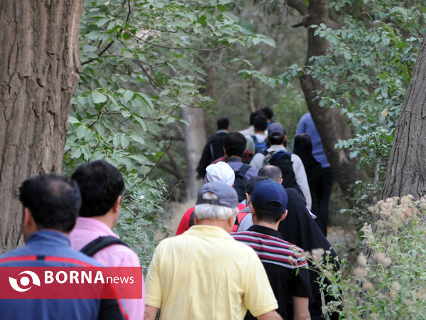 در مسیر ارنگه جاده چالوس با خبرنگاران غرب تهران