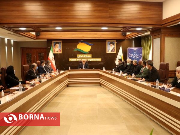 نشست هم اندیشی اصحاب رسانه با مدیرعامل سازمان منطقه آزاد انزلی