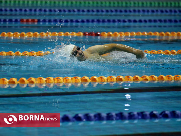 مسابقات شنا جام وحدت