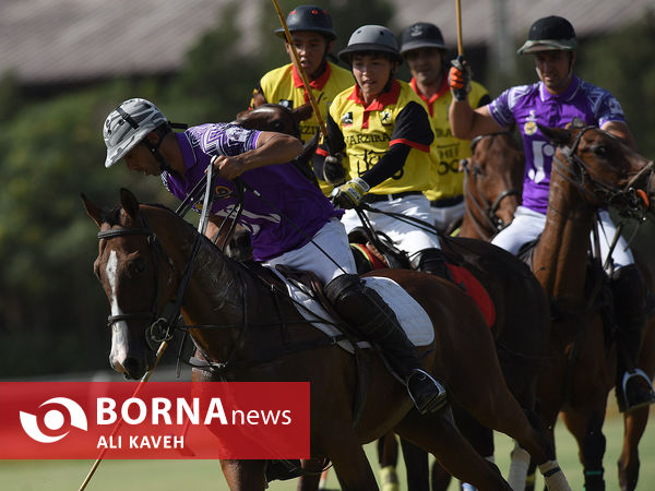 لیگ  ملی چوگان