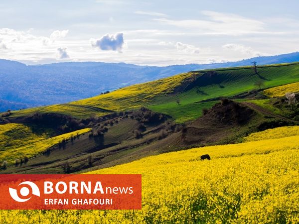 طبیعت زیبای شهرستان ساری