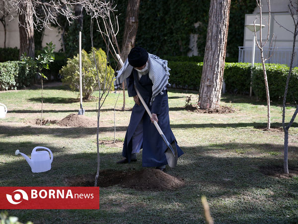 کاشت نهال توسط رهبر معظم انقلاب