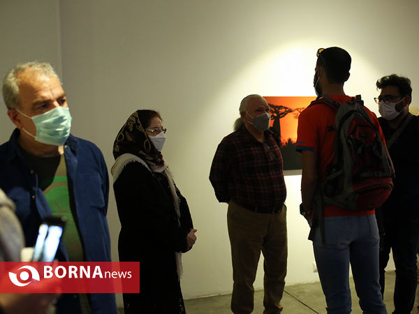 نمایشگاه عکاسی "شب پیداست"