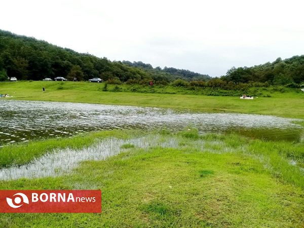 چشم اندازی از طبیعت گیلان _ شهریور 1400