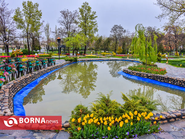 جشنواره گل‌های لاله