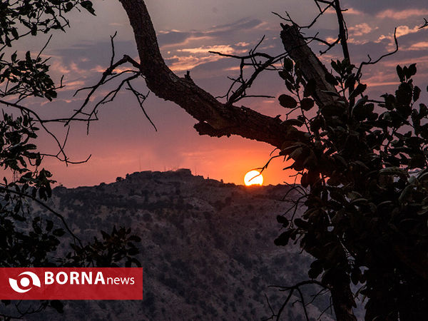 آتش سوزی در "تنگه ی شاه بیشه" آبدانان