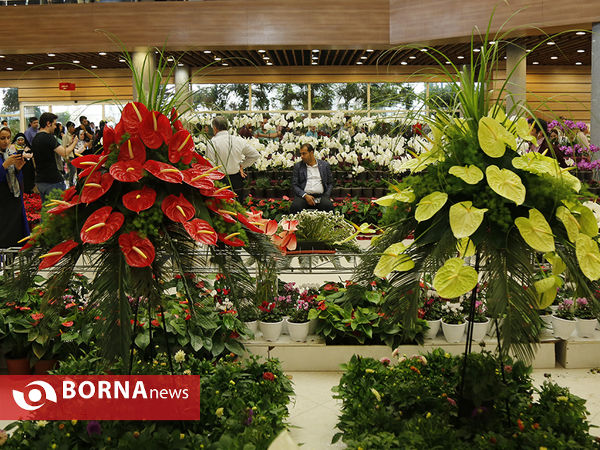 شانزدهمین نمایشگاه بین المللی گل و گیاه تهران