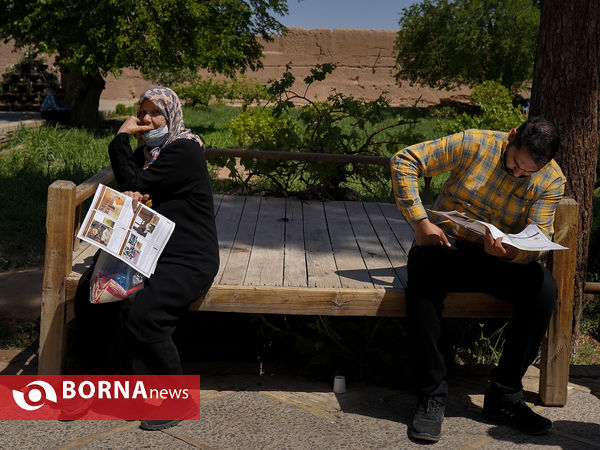 باغ دولت‌آباد یزد