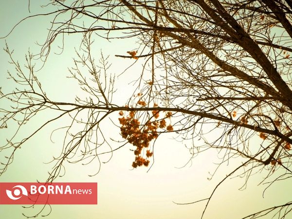 آخرین لحظات پاییزی
