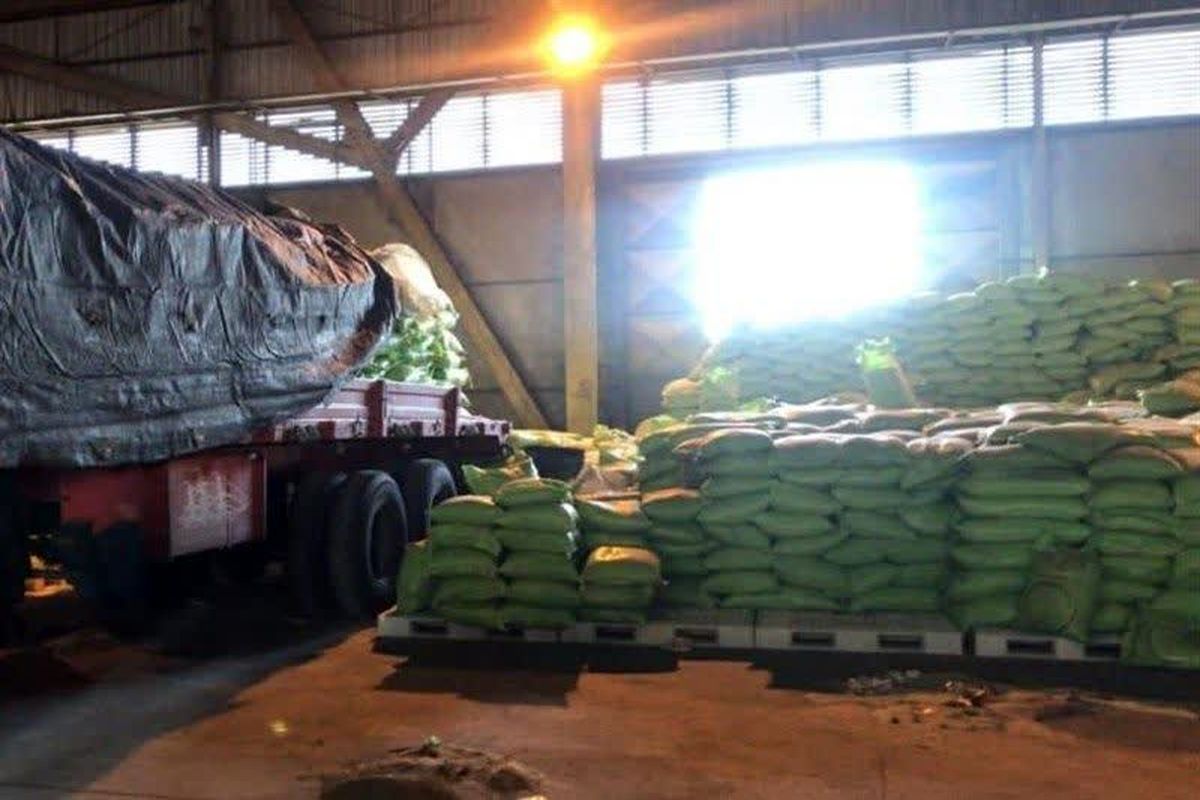 آغاز عملیات ترخیص چند محموله برنج وارداتی به میزان ۵ هزار تن از امروز