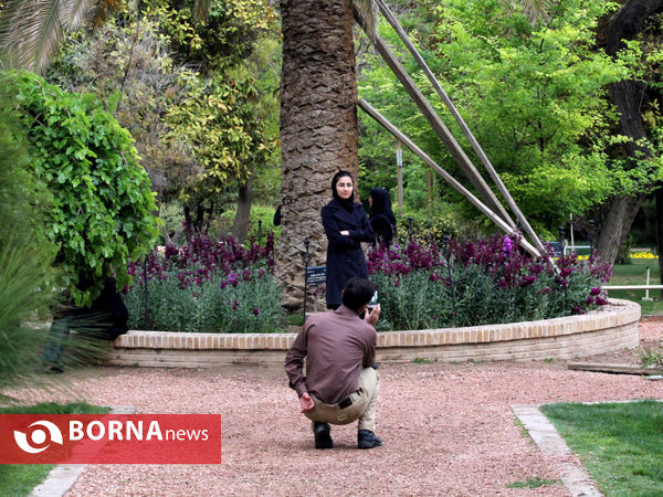 بهار درباغ ارم- شیراز