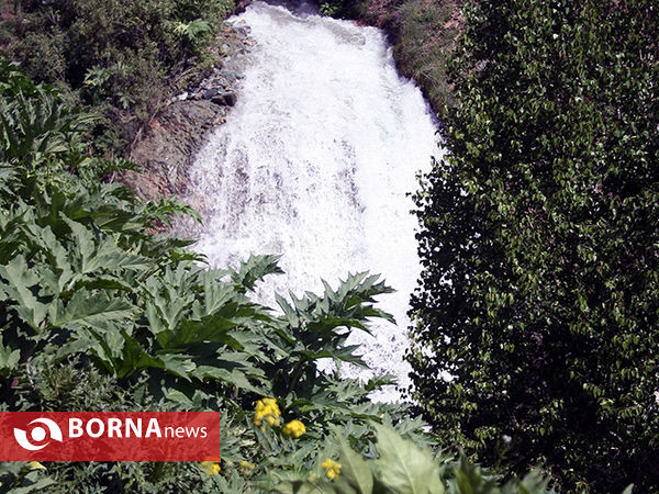 گردشگری در هفته جوان