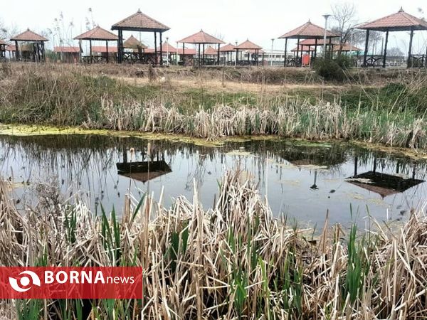 تالاب حاجی آباد لاهیجان