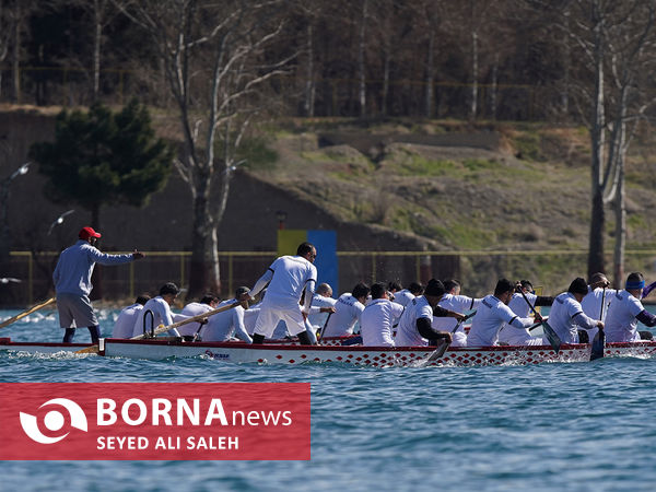  لیگ برتر دراگون‌بوت