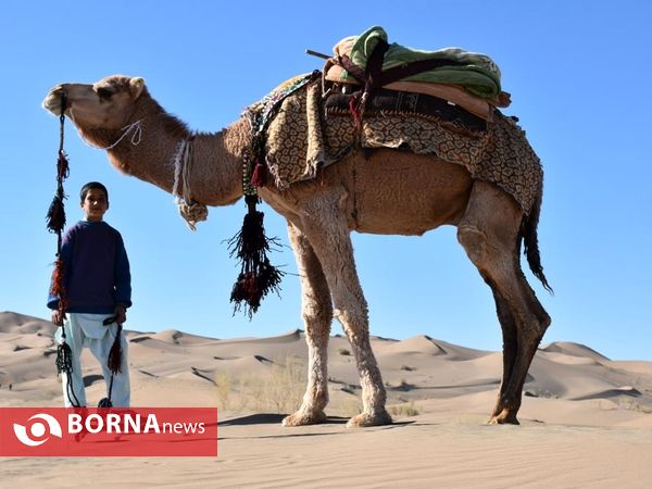 همایش کویرنوردی در نصرت آباد (کویر لوت)