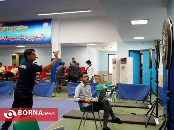 اولین دوره لیگ برتر دارت