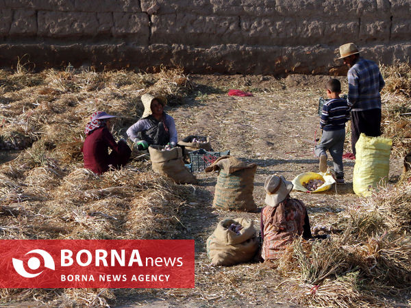 تیمورلو، پایتخت سیر ایران