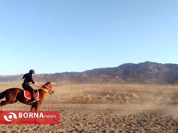 دومین مسابقات کورس اسب سواری در خراسان جنوبی