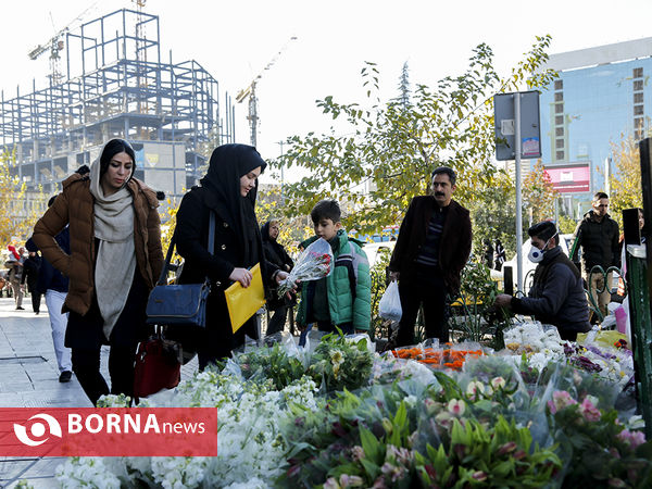 فروش گل در میدان ونک  - عکاس : ساره سلطانیه