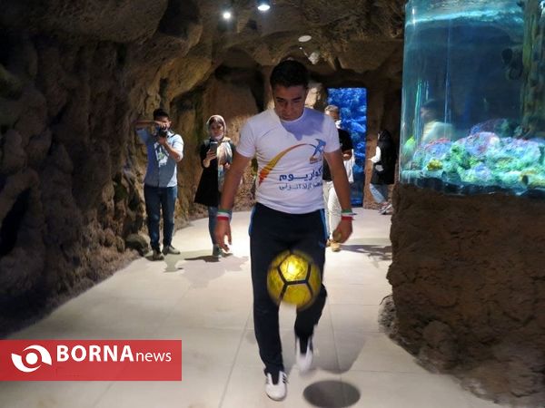 حرکت نمایشی رکوردار روپایی در حمایت از تیم ملی