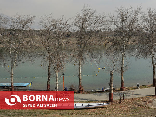 مسابقات قهرمانی کشور رویینگ بانوان