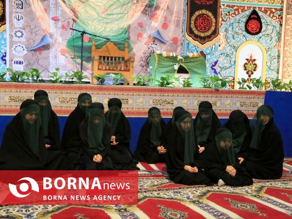 همایش شیرخوارگان حسینی در ساری