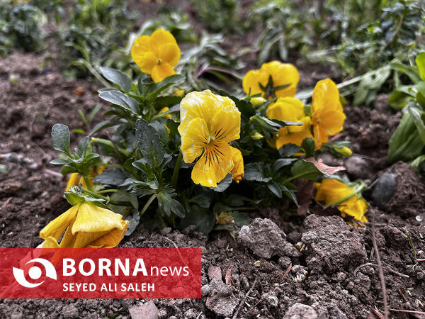 نخستین روز بهار ۱۴۰۲
