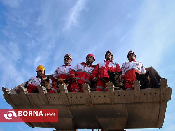 بازدید خبرنگاران از مرکز آموزش و نگهداری سگ های تجسس