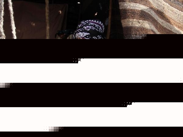 جشنواره فرهنگی ورزشی بازی های بومی محلی تهران