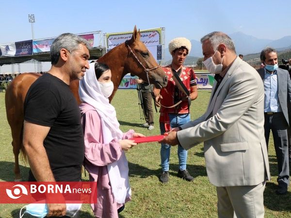 دومين دوره مسابقات ملی زيبائي اسب اصیل ترکمن