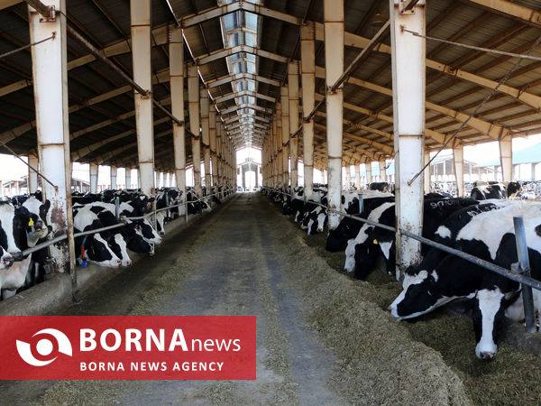 توانمندی های بخش کشاورزی شهرستان شبستر