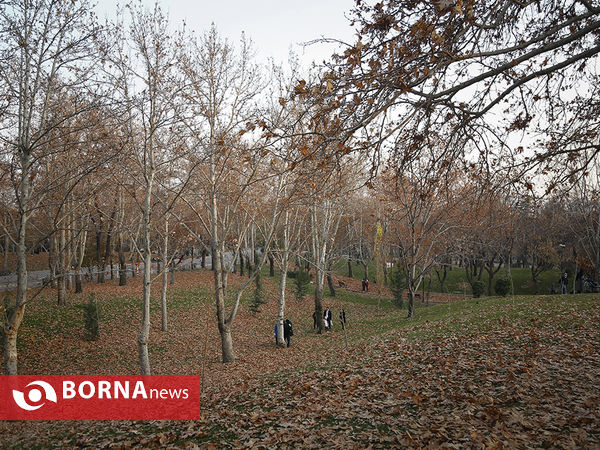 واپسین روزهای پاییزی تهران